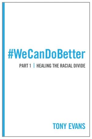 We Can Do Better Healing the Racial Divide Part 1 Doc