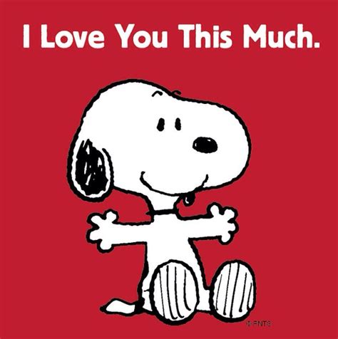 We Love You Snoopy Reader