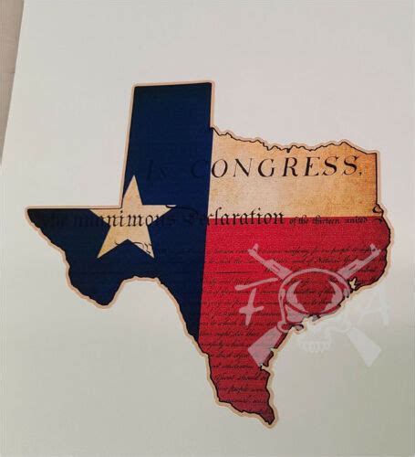 We the People With Texas Politics Kindle Editon