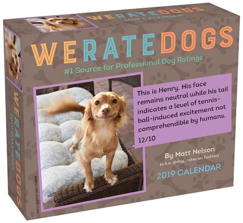 WeRateDogs 2019 Day-to-Day Calendar PDF