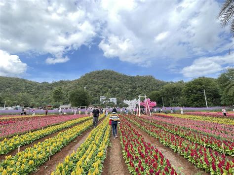 Weather in Khao Yai in December: A Comprehensive Guide