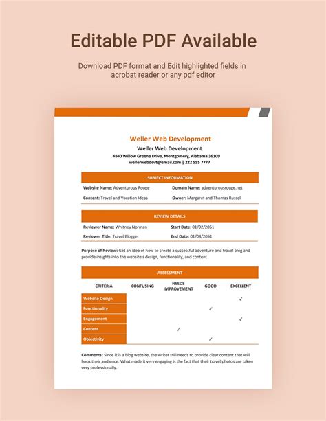 Website Review Template