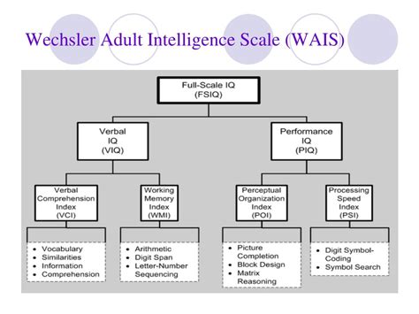 Wechsler Adult Intelligence Scale (WAIS)