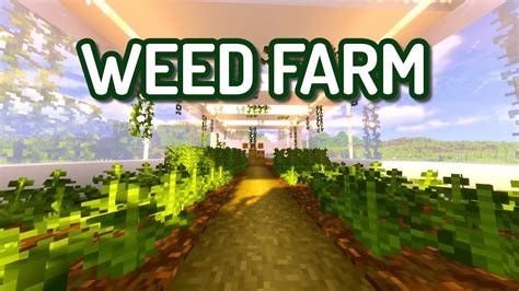 Weed Farm Minecraft: The Ultimate Guide