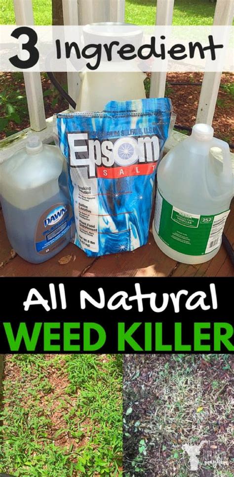 Weed Killer First: