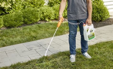 Weed Killer or Fertilizer First: Unveiling the Best Gardening Practices