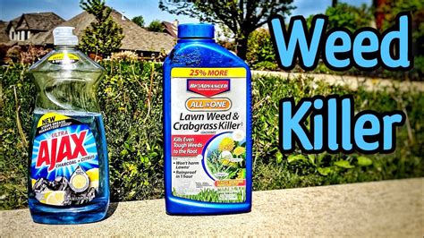 Weed Wars: 10 Killer Tips and Tricks to Win the Fertilizer Battle