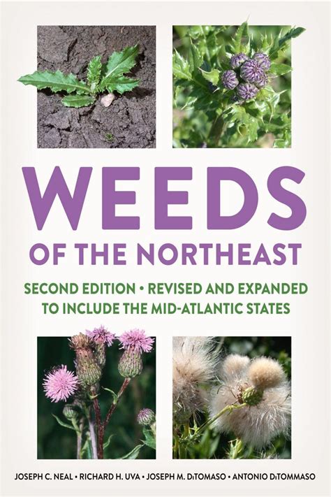 Weeds of the Northeast Kindle Editon