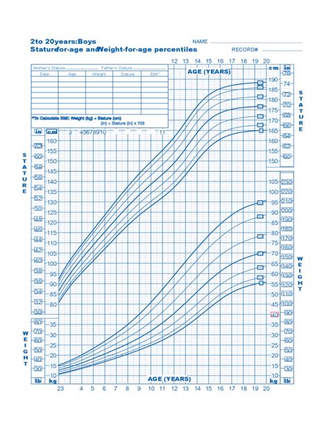 Weight Chart For Boys