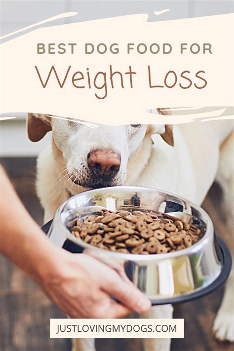 Weight Reduction Dog Food: A Comprehensive Guide to Helping Your Dog Lose Weight