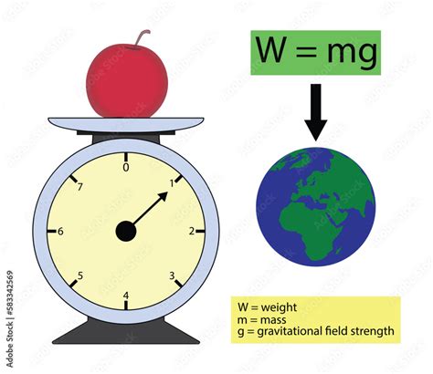 Weight into Newtons: Measuring Force with Precision