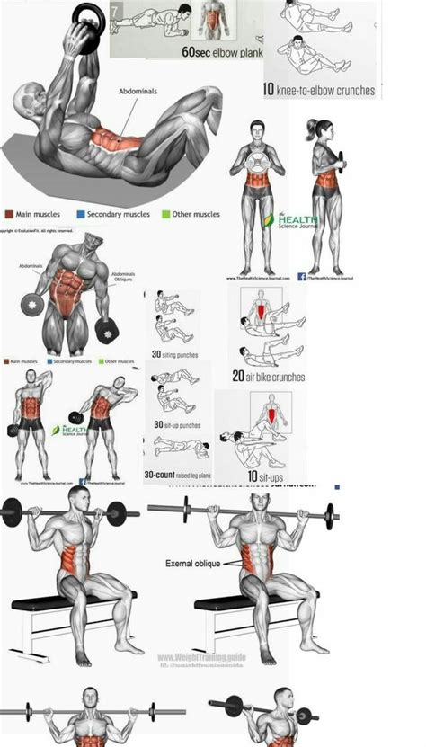 Weights for Workouts: Elevate Your Fitness with Weighted Exercise