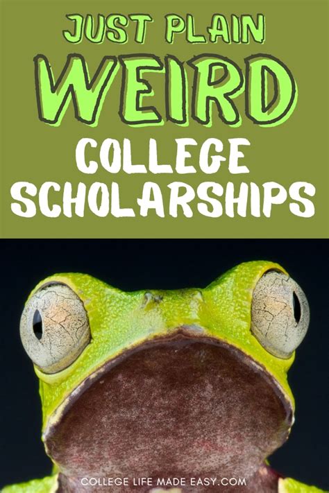 Weird and Wacky Scholarships: Embark on an Eccentric Quest for Funding