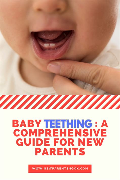 Welcome Back from Baby: A Comprehensive Guide for New Parents