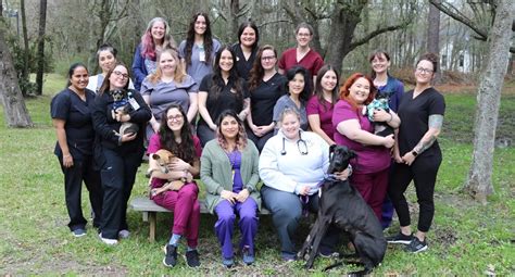 Welcome to Friendswood Animal Clinic: Where Compassion Meets Expertise