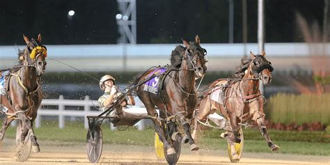 Welcome to Hoosier Park Racing & Casino: A Comprehensive Guide to Indiana's Premier Entertainment Destination