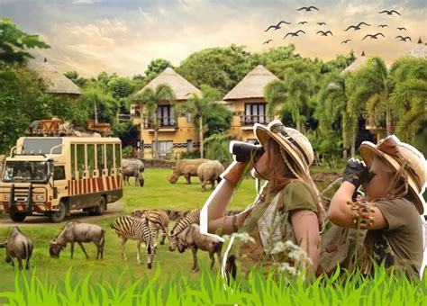 Welcome to Safari Mart: Your Ultimate Destination for Wildlife Enthusiasts and Conservationists!