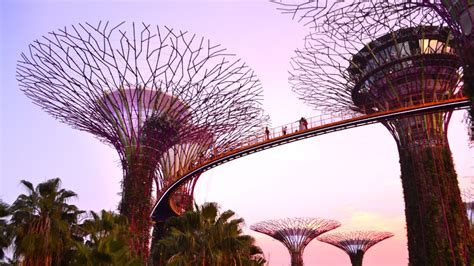 Welcome to Singapore: A Guide to the Lion City