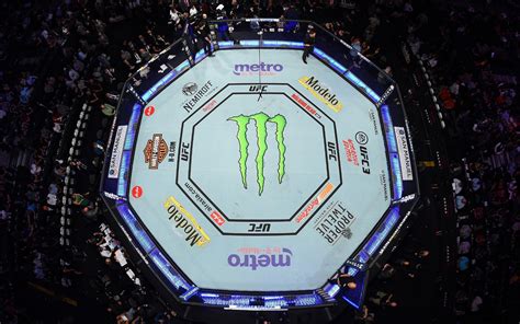 Welcome to the Octagon Fight Card MMA Reader