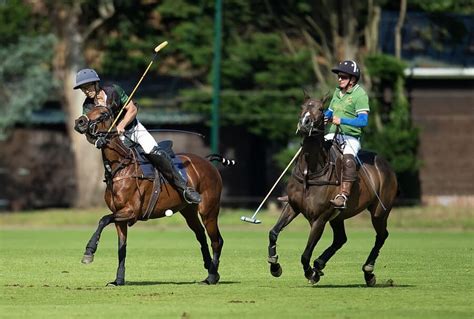 Welcome to the Thrilling World of UGA Polo: A Sport Steeped in Tradition and Excellence