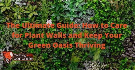 Welcome to the Ultimate Oasis for Your Green Oasis