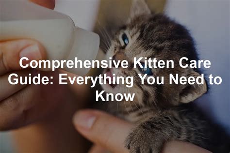 Welcome to the World of Sexy Kitten: A Comprehensive Guide