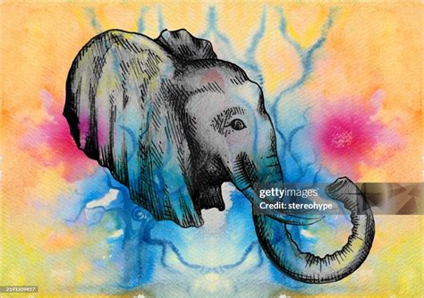 Welity Fashion Elephant Graphic Magnetic PDF