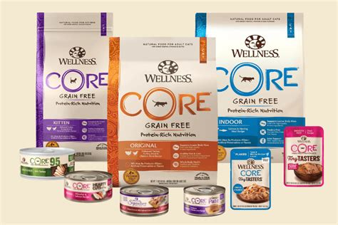 Wellness CORE Cat Food: Your 9-Lives' Fuel for a Healthier Tomorrow