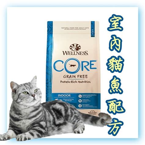 Wellness Core 原味幼貓糧：呵護幼貓健康成長的營養選擇