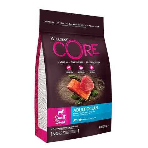 Wellness Core 貓糧評價：深入探討其優缺點和適應症狀