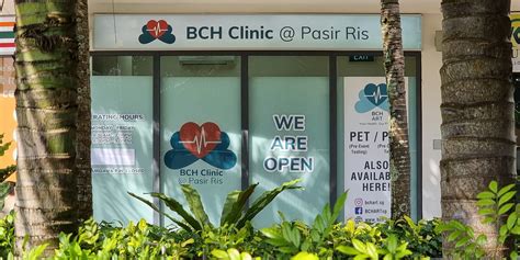 Wellness Redefined: A Comprehensive Guide to Well Clinic Pasir Ris