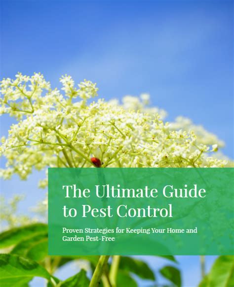 Wells Pest Control: The Ultimate Guide to Keeping Your Home Pest-Free