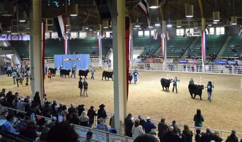 Western Stock Show Denver CO: The 111-Year-Old Tradition Thrives