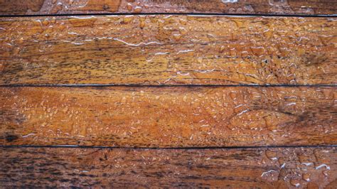 Wet, White, and Brown: The Dynamic Trio of Moisture in Wood