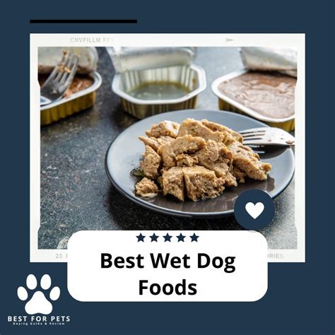 Wet Dog Food Brands: The Ultimate Guide to 2023