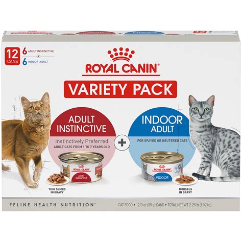 Wet Food for Kittens: The Furry Feline's Nutritional Elixir