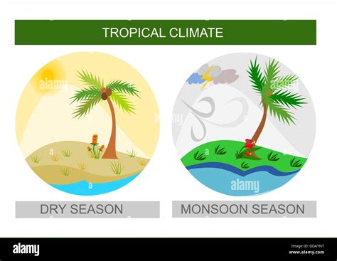 Wet vs. Dry Season in Singapore