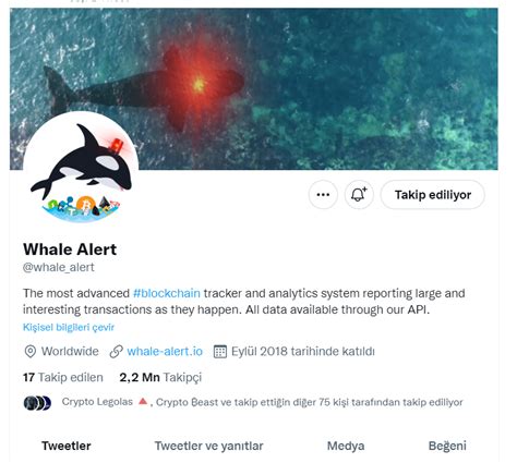 Whale Alert Twitter: 31 Whales, 92.5K ETH Transferred in Under 24 Hours