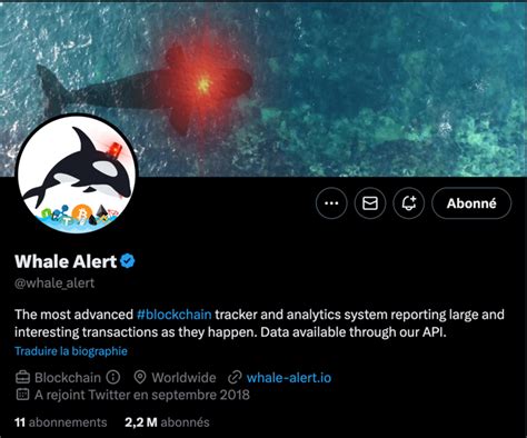 Whale Alert Twitter: An Indispensable Tool for Crypto Enthusiasts