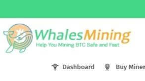 WhalesMining: A Comprehensive Guide to Cryptocurrency Mining for Whales