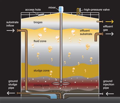 What's Inside a Manure Fermentation Tank: A Peek Inside the Digestion Process