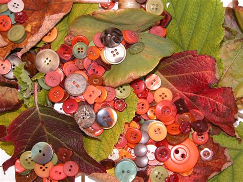 What Are Autumn Buttons?