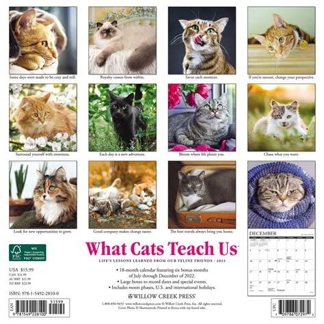 What Cats Teach 2017 Calendar Epub