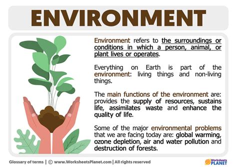 What Does an Environmental Investigator Do?