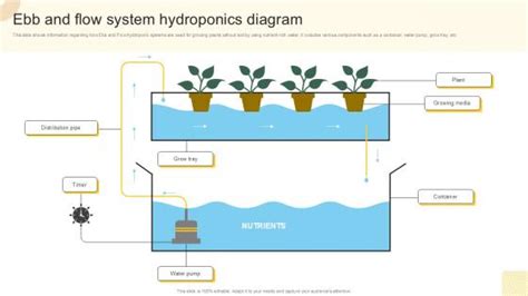 What Is An Ebb And Flow Chart