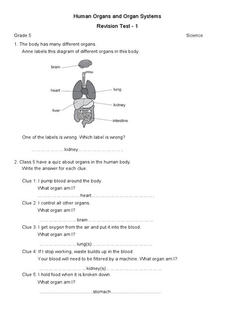 What Is An Organ System Yahoo Answers PDF