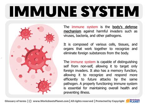 What Is The Function Of Immune System Yahoo Answers Doc