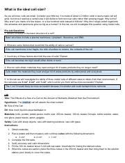 What Is The Ideal Cell Size Lab Report Answers Epub