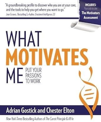 What Motivates Me Put Your Passions to Work Epub