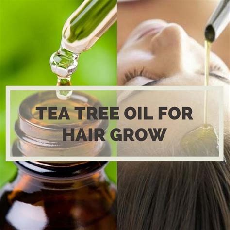 What Oil Helps Hair Grow: A Comprehensive Guide to 11 Natural Remedies